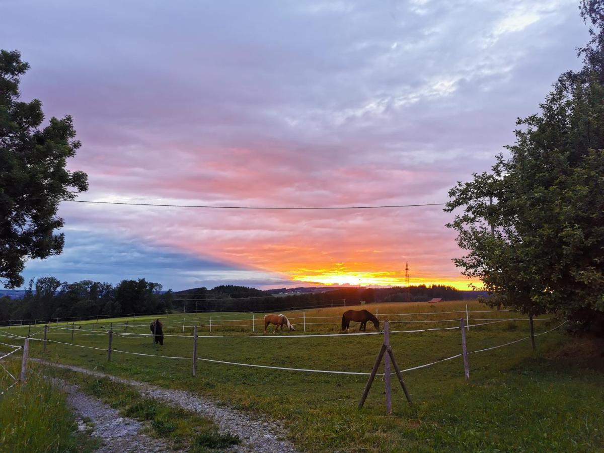 Apartment Auszeit Mit Kueche Viel Ruhe Und Natur Untrasried Zewnętrze zdjęcie